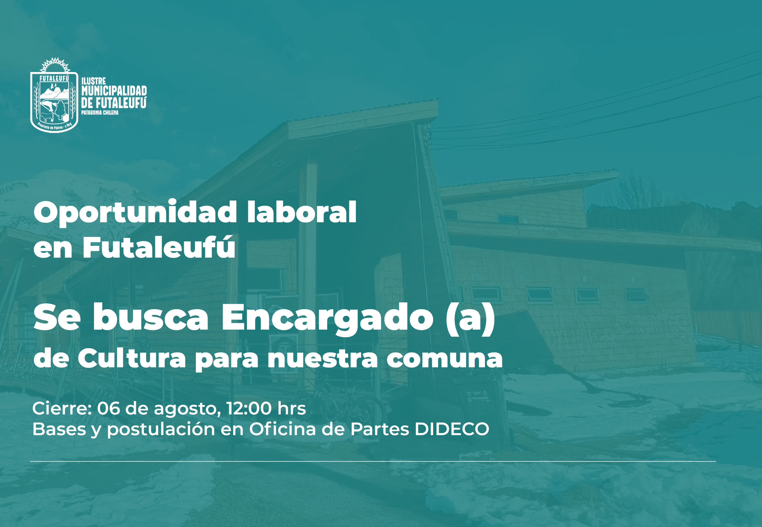 grficas 31-02
